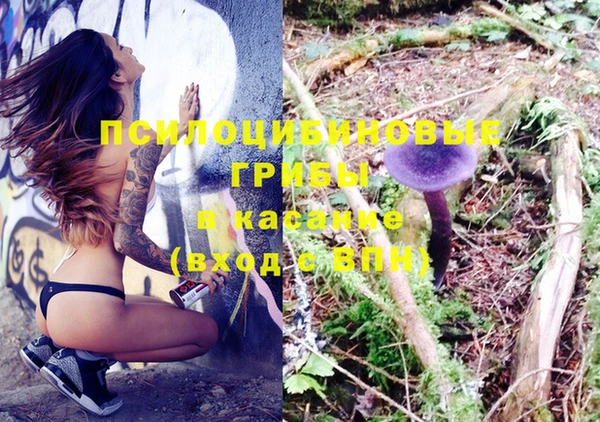 кокаин Алексеевка