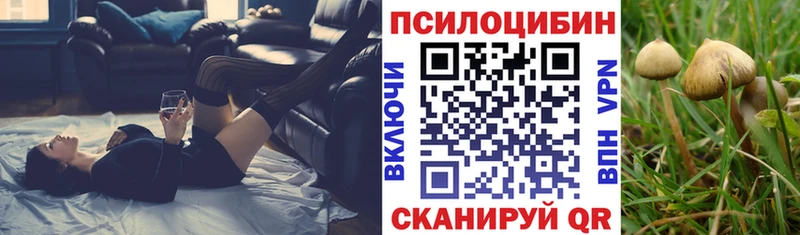 Псилоцибиновые грибы Cubensis  цена   Омутнинск 